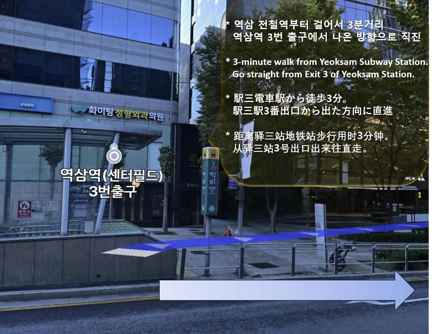 Vila Gangnam Yeoksam Station Full-Option Remodeling New House Soul